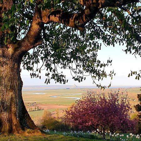 L'Abrincat'Studio, Centre Entre Donjon Et Vue Mont 아브랑슈 외부 사진